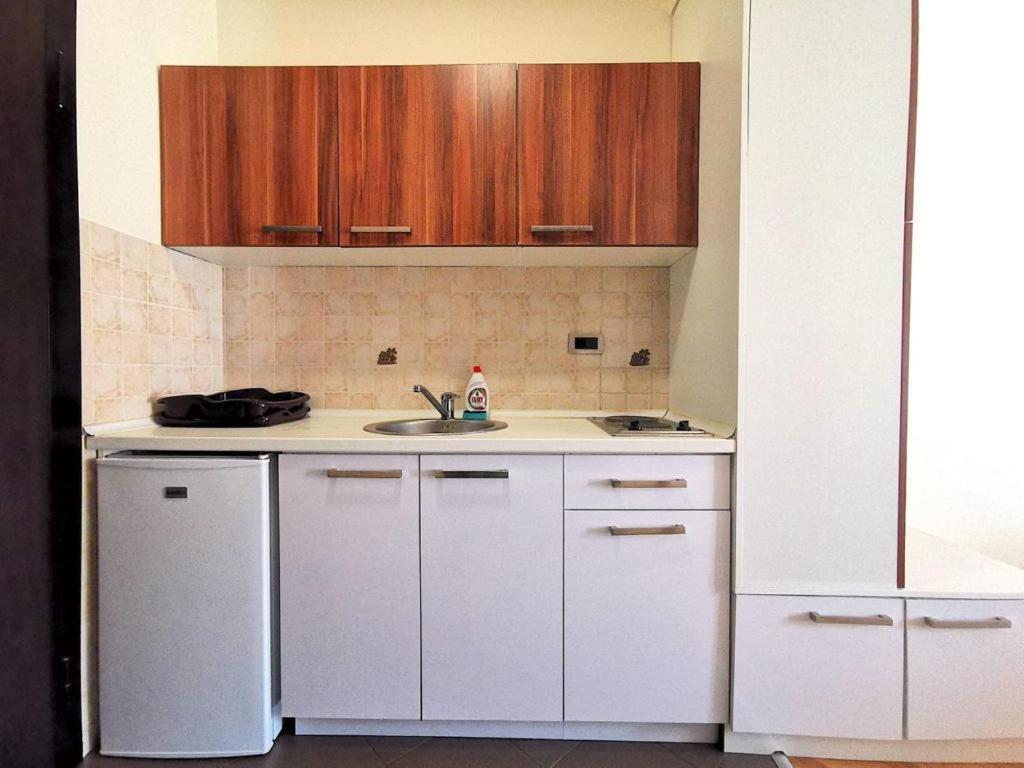 Aegean Home Budva Vojvodanska 16 B Stan7 エクステリア 写真
